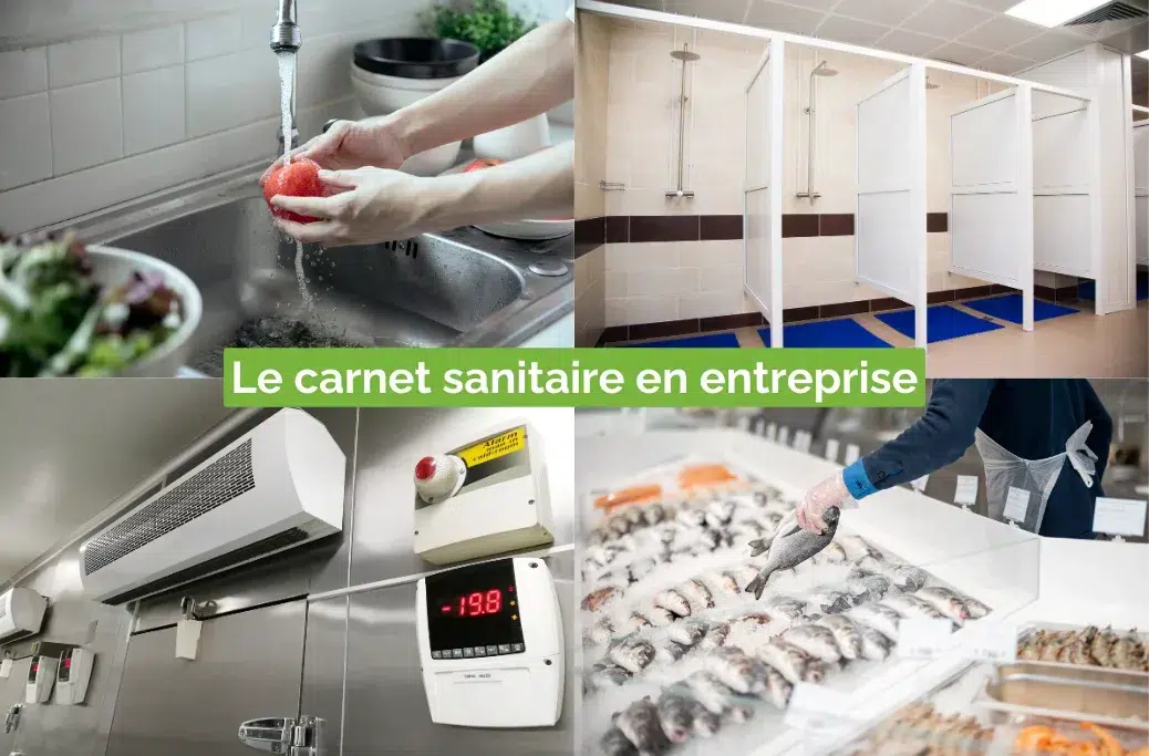 Le carnet sanitaire en entreprise : définition, réglementation et digitalisation